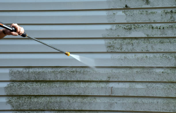 Best Commercial Building Pressure Washing  in Wells Branch, TX