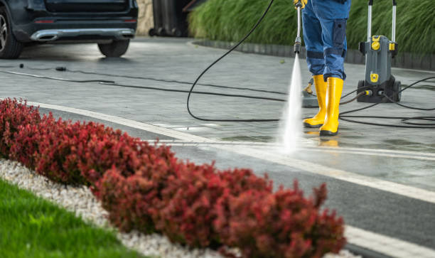 Best Residential Pressure Washing Services  in Wells Branch, TX